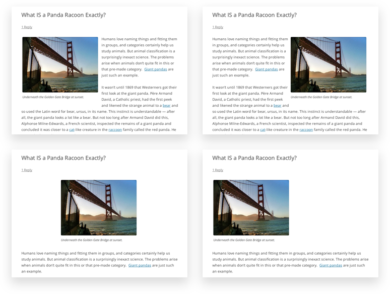 Image shows four different ways to add media WordPress