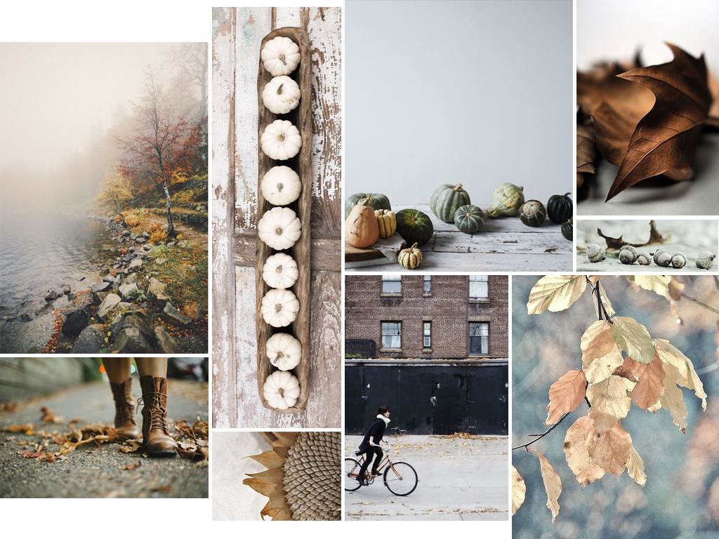 Jamie Leigh design inspiration autumn moodboard