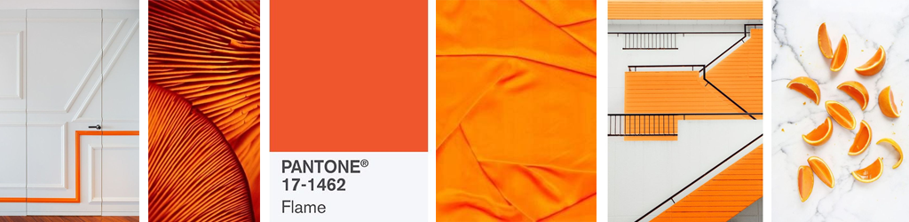 orange brand color